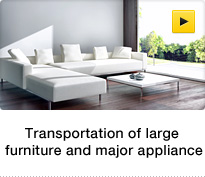 Transportation of large furniture and major appliance