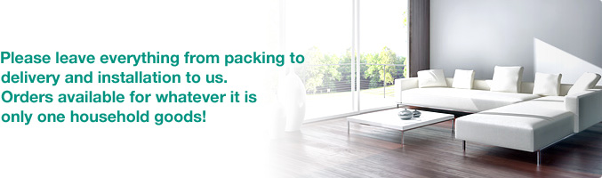 Please leave everything from packing to delivery and installation to us. Orders available for whatever it is only one household goods!