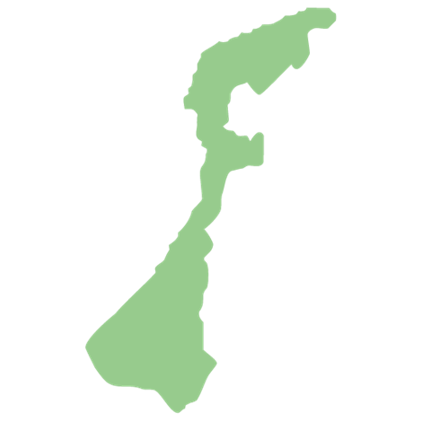 �ΐ쌧�̑Ή��G���A