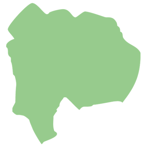 �R�����̑Ή��G���A
